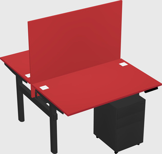 Shared electric desk