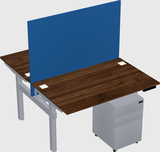 Shared electric desk