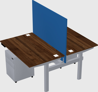 Shared electric desk