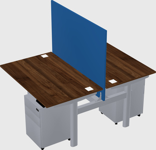 Shared electric desk