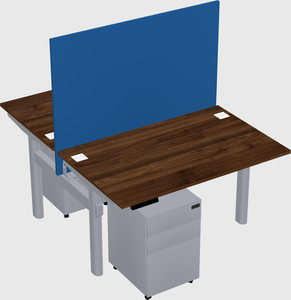 Shared electric desk