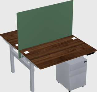 Shared electric desk