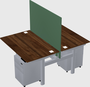 Shared electric desk