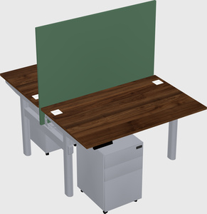 Shared electric desk