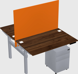 Shared electric desk
