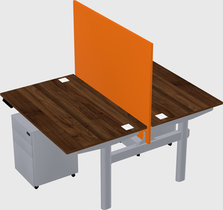 Shared electric desk