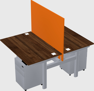 Shared electric desk