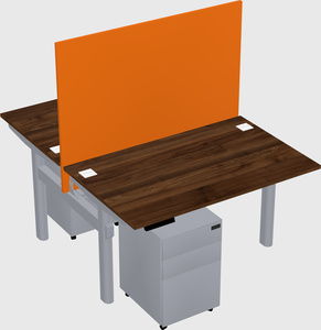 Shared electric desk