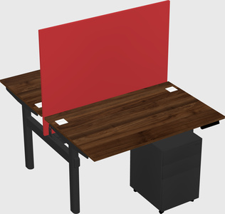 Shared electric desk