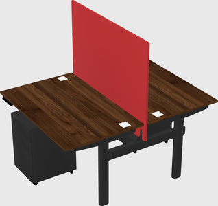 Shared electric desk