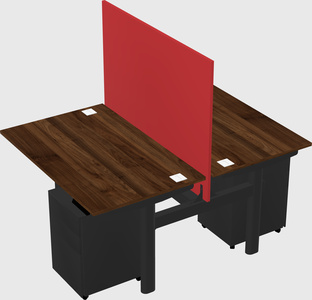 Shared electric desk
