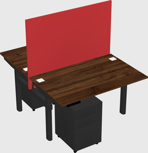 Shared electric desk