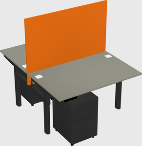 Shared electric desk