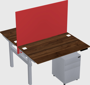 Shared electric desk