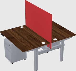 Shared electric desk