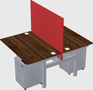 Shared electric desk