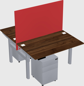 Shared electric desk