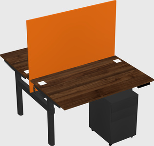 Shared electric desk