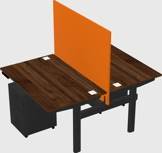 Shared electric desk