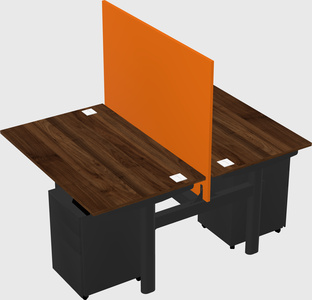Shared electric desk