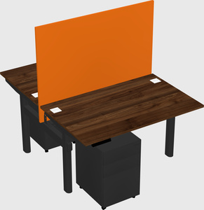 Shared electric desk