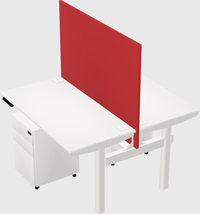 Shared electric desk