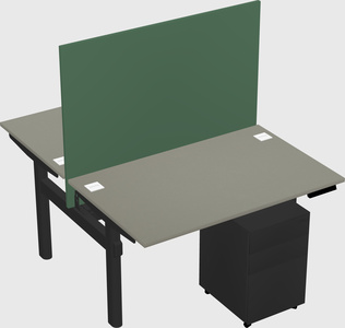 Shared electric desk