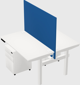 Shared electric desk