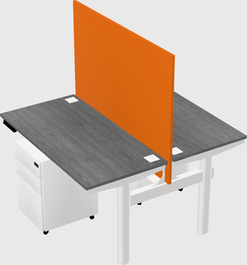 Shared electric desk