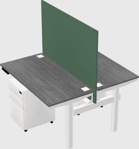 Shared electric desk