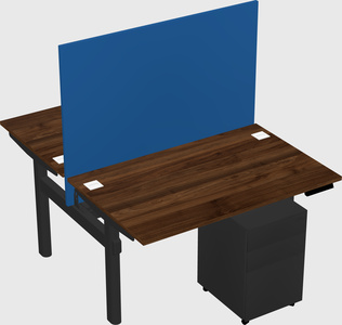 Shared electric desk