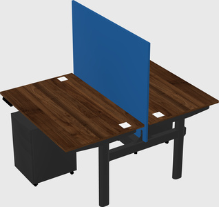 Shared electric desk