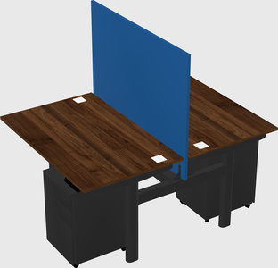 Shared electric desk