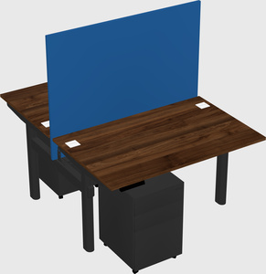 Shared electric desk