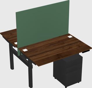 Shared electric desk