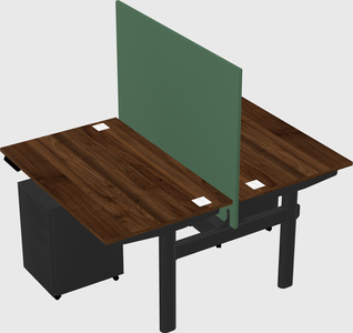 Shared electric desk