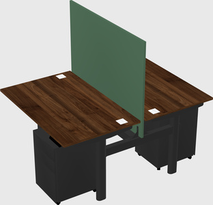 Shared electric desk