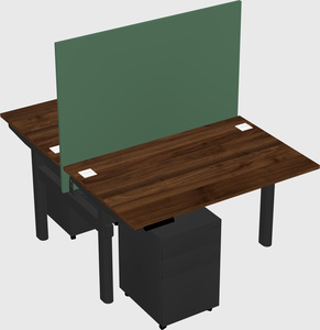 Shared electric desk