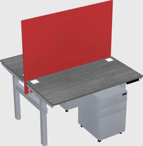 Shared electric desk