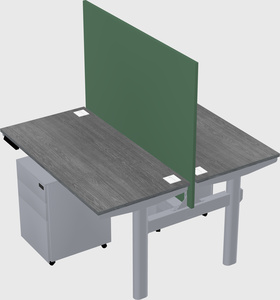 Shared electric desk