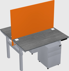 Shared electric desk