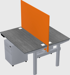 Shared electric desk