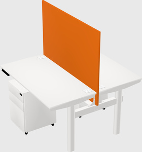 Shared electric desk