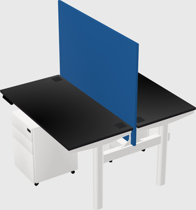 Shared electric desk