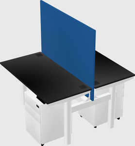 Shared electric desk