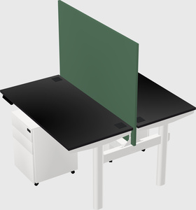 Shared electric desk