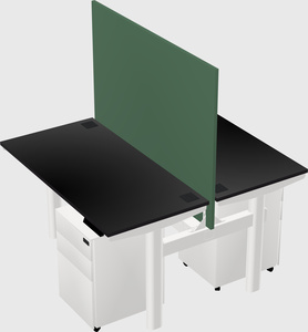 Shared electric desk