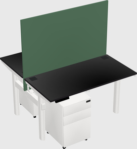 Shared electric desk