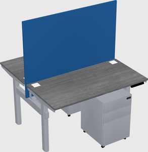 Shared electric desk