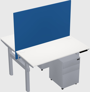 Shared electric desk